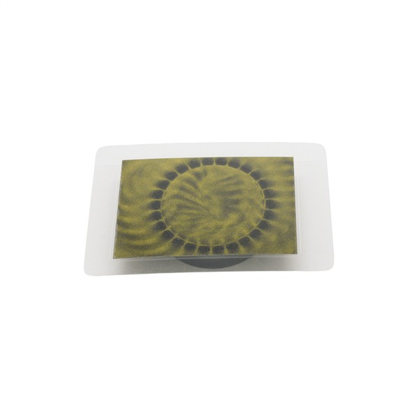 Bonded Ring NdFeB Magnet